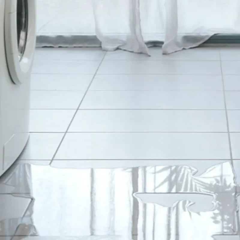 Appliance Leak Cleanup in Richland Hills, TX