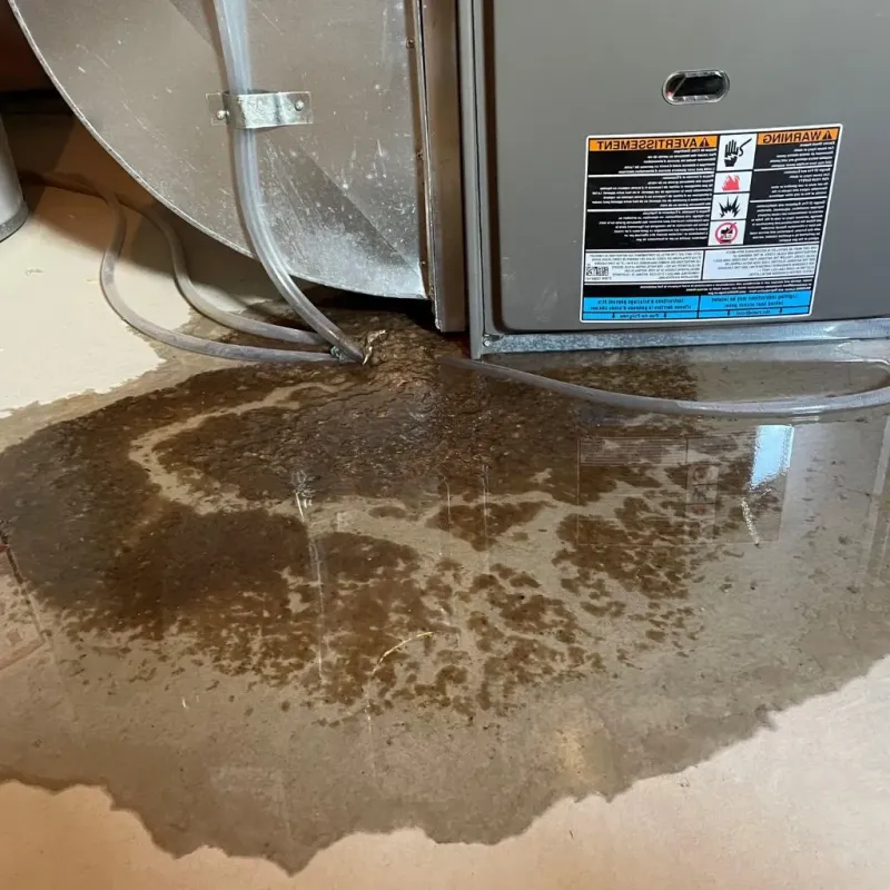 Pipe Burst and Leak Restoration in Richland Hills, TX